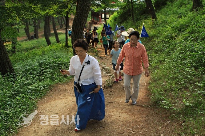 도리화 이미지