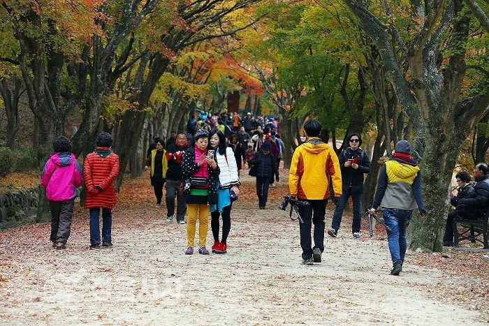 TK트래블 이미지