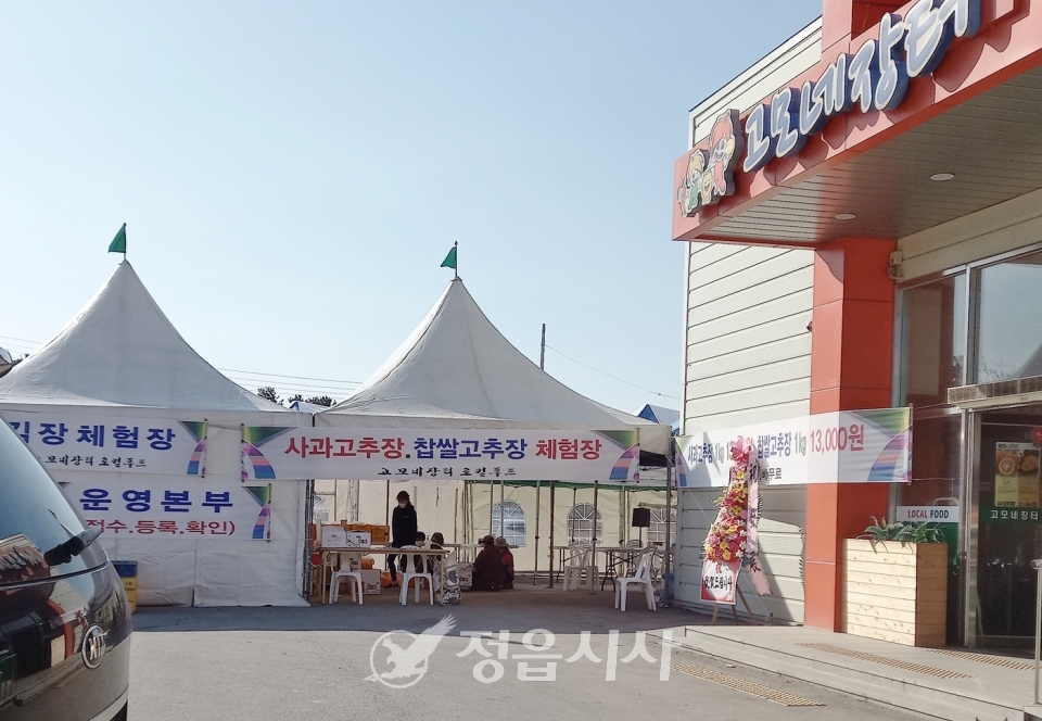 고모네김치 이미지