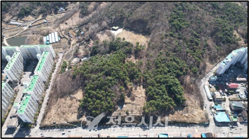 체육관 신축부지 위치도