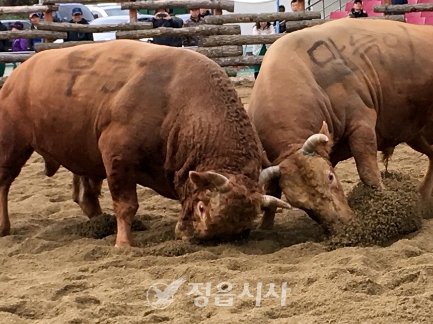 과거 대회 사진