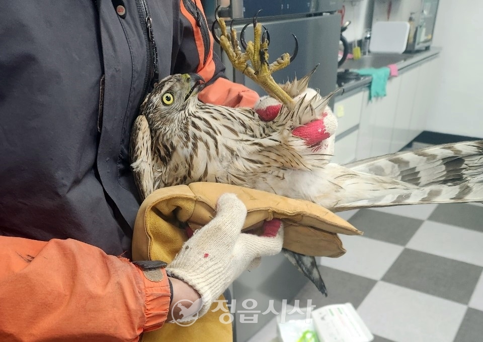 정읍농수산 이미지